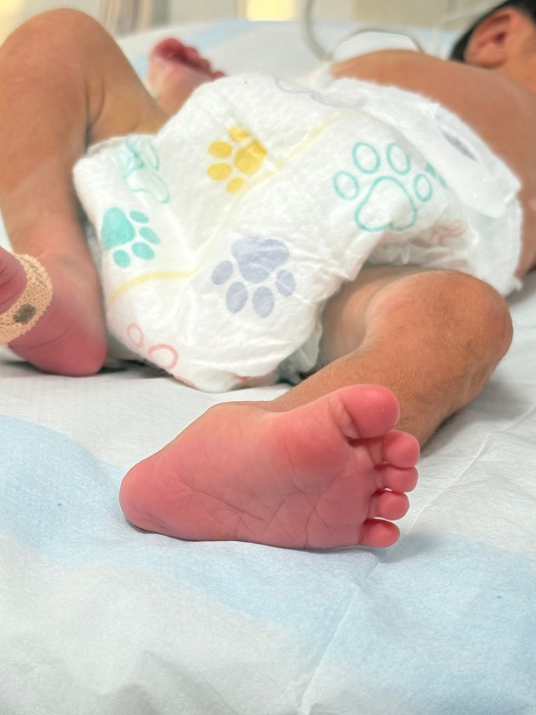 Unplanned, Unpacked, and Perfect 